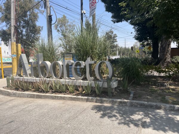 DEPARTAMENTO  ARBORETO - Image 2