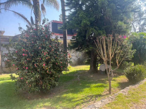 Propiedad en venta San Pedro Cholula - Image 3