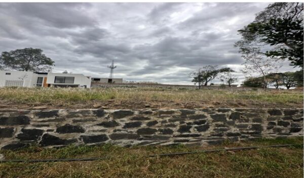 Lote de 132.80 m2 en el Fraccionamiento Terravita - Image 6
