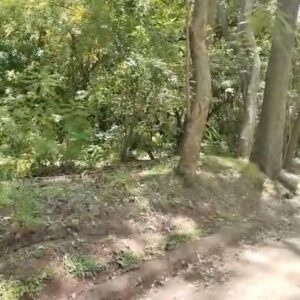 VENTA LOTE RESIDENCIAL EN ATLIXCO FRACCIONAMIENTO EL CARMEN