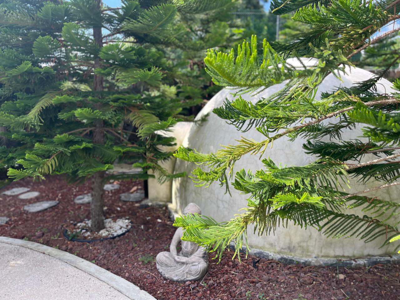 Rancho San José Acatocha Atlixco - Image 39